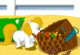 Pony Land