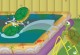 Turtel Pool Turtel Pool
