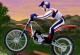 Stunt Mania Stunt Mania