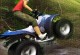Jungle Quad Jungle Quad