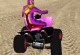 Racing Quads Racing Quads