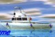 Seascape Seascape