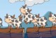 Freaky Cows Freaky Cows