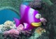 Fish Tales 2 Deluxe Fish Tales 2 Deluxe