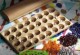 Bohnenspiel – Mancala Bohnenspiel – Mancala