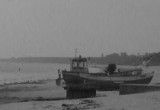 Seashore Seashore