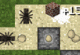 Minecraft Tower Defense Minecraft Tower Defense