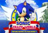Sonic Crazy World Sonic Crazy World
