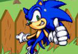 Sonic in Garden Sonic in Garden