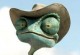 Rango Rango