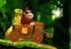 Donkey Kong Jungelride Donkey Kong Jungelride