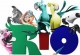 Rio der Film zum Ausmalen Rio der Film zum Ausmalen