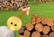 Smilie Spiel Smilie Spiel