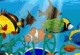 Aqua Zoo Aqua Zoo