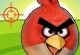 Angry Birds Hunting Angry Birds Hunting